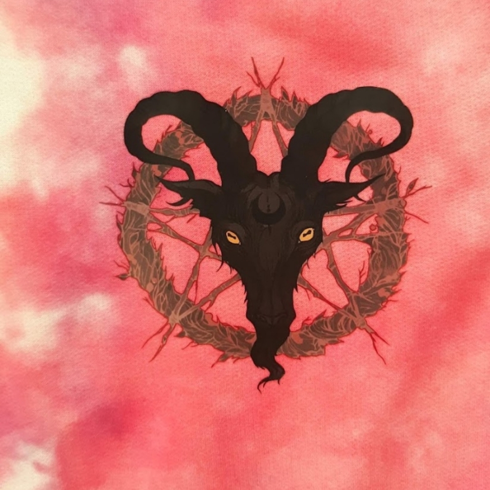 Sold! Cute yet darksided horned goat pagan pentagram sweater - Picture 3 of 5